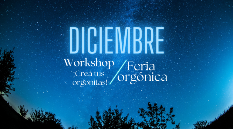 amebaglam abre su feria orgonica durante todo diciembre. no te pierdas nuestros talleres de orgonitas!